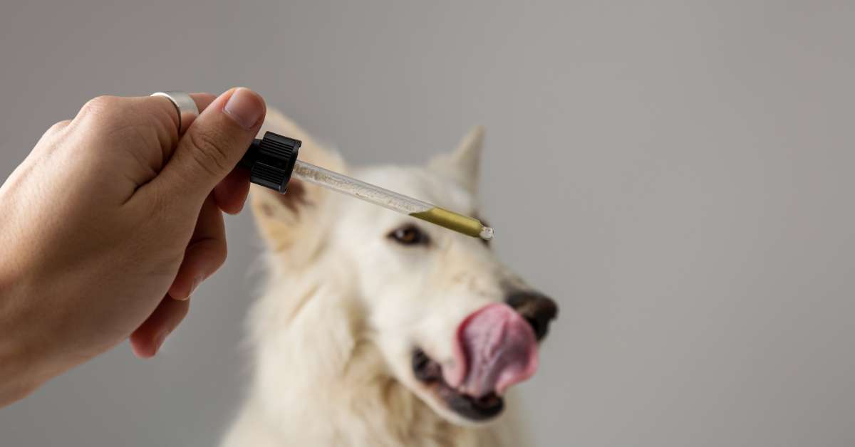 Miracle Leaf in Bonita Springs offers CBD for Pets.